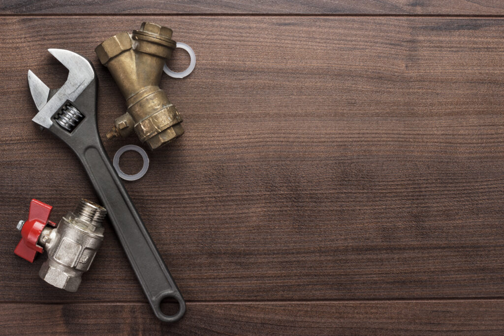 Professional Plumbing Inspection